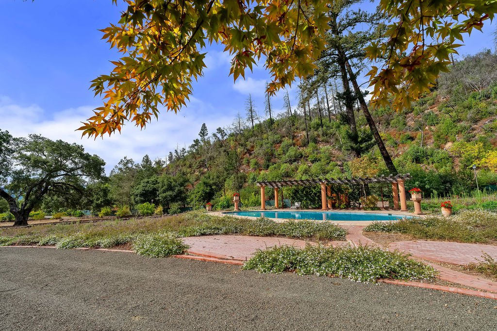 Scenic outdoor scene with a swimming pool under a pergola, surrounded by trees, flowering plants, and a hillside, with a bright blue sky overhead.
