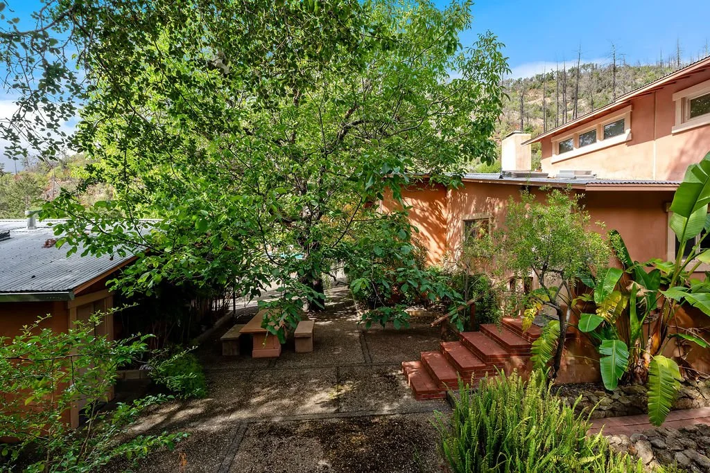A lush backyard with a large leafy tree, potted plants, and stairs leading to a house with peach-colored walls and a small window, on a sunny day.