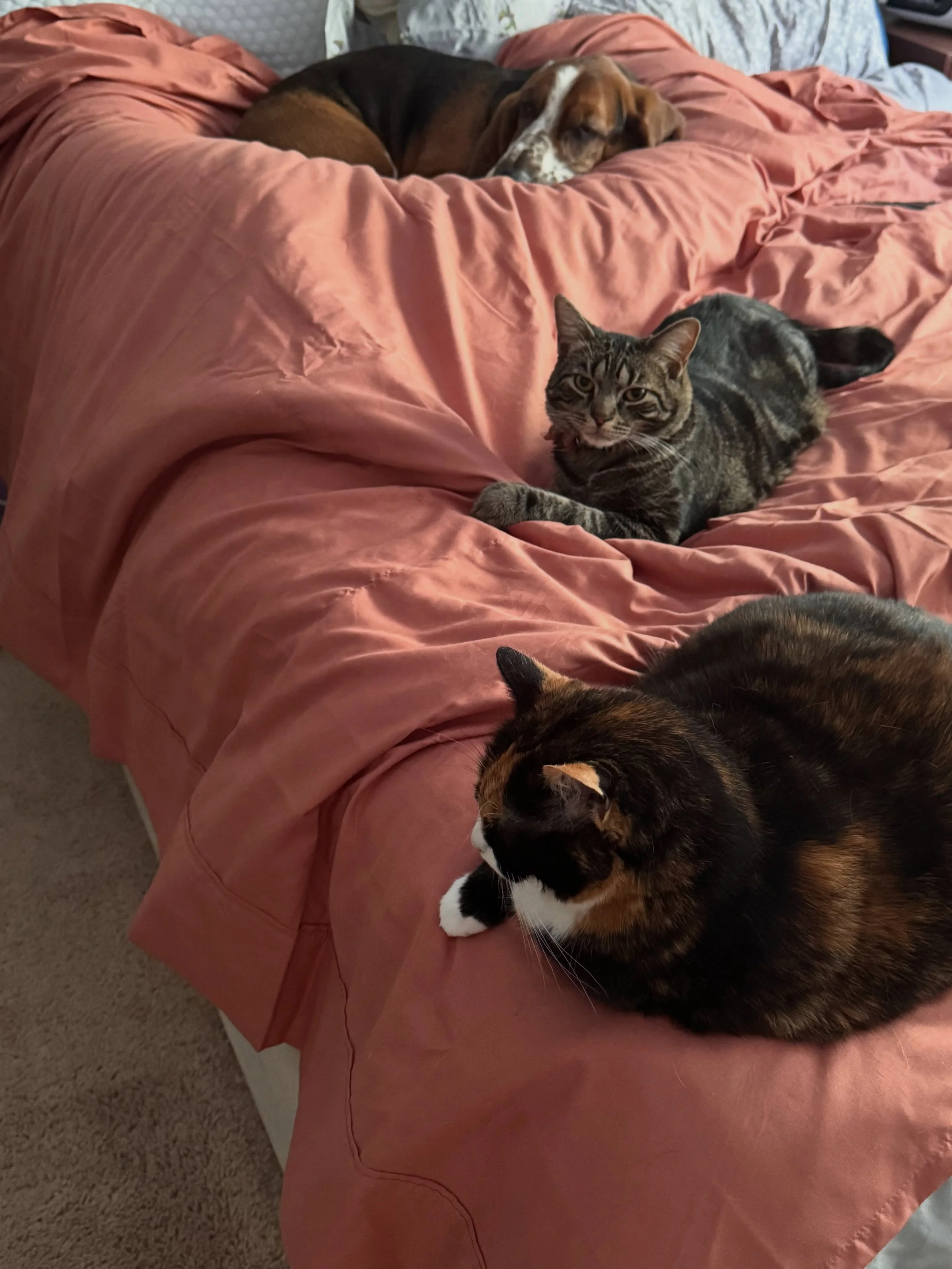 It&rsquo;s cool, i wasn&rsquo;t just laying down. 🤣