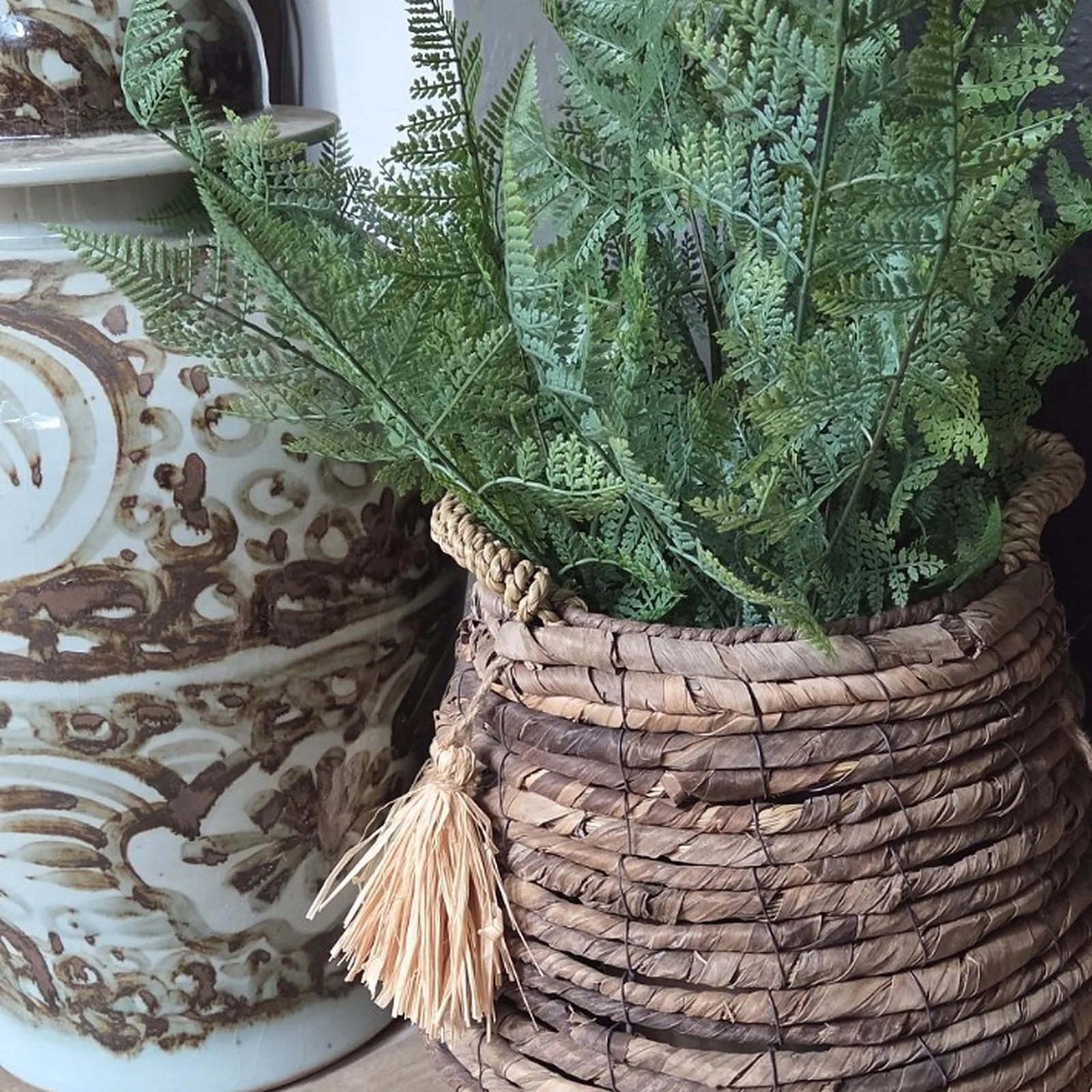 03_Basket_With_Ferns.jpg