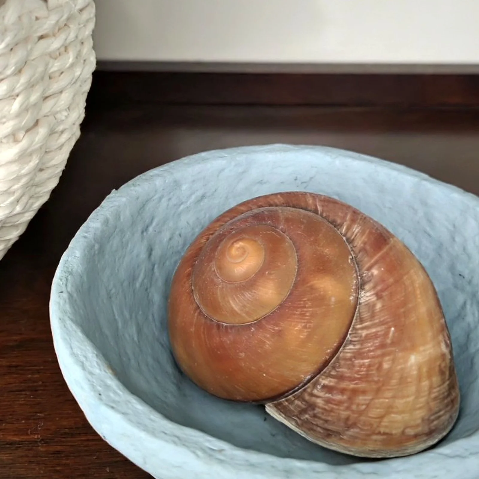 Blue_Bowl_With_Shell_NCC_Web.jpg