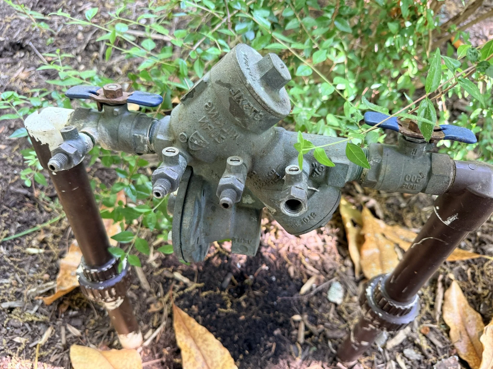 A close-up view of an outdoor manifold with blue handles, connected to two brown pipes, surrounded by green foliage and soil.