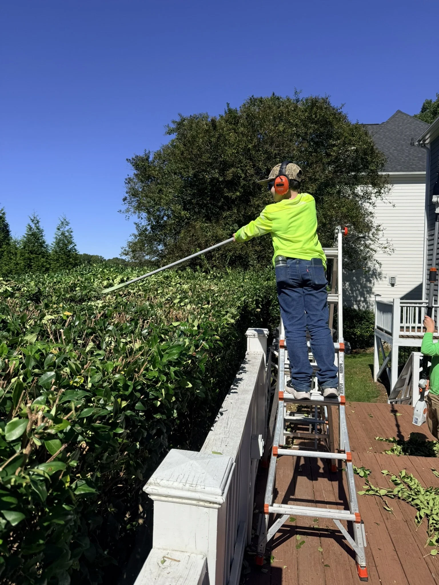 A person wearing a yellow safety vest, jeans, a cap, and ear protection is standing on a ladder trimming or cutting a large shrub with a pole saw in a backyard on a sunny day. There is a house with vinyl siding and a deck in the background.