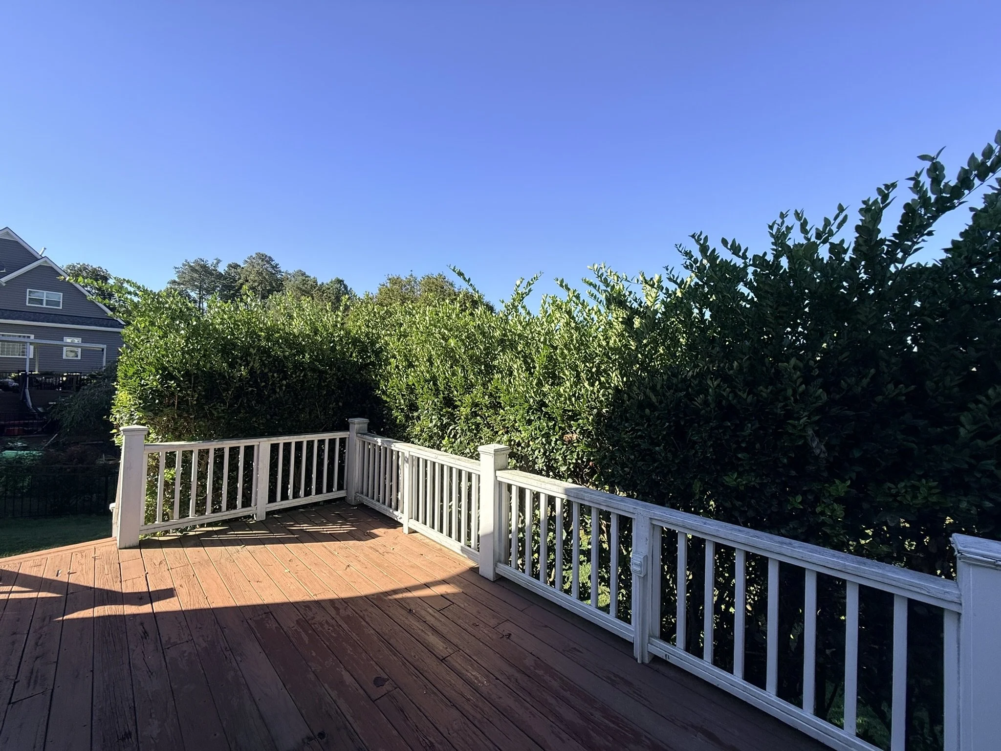 A wooden deck with white railing overlooking a lush green hedge and trees under a clear blue sky.