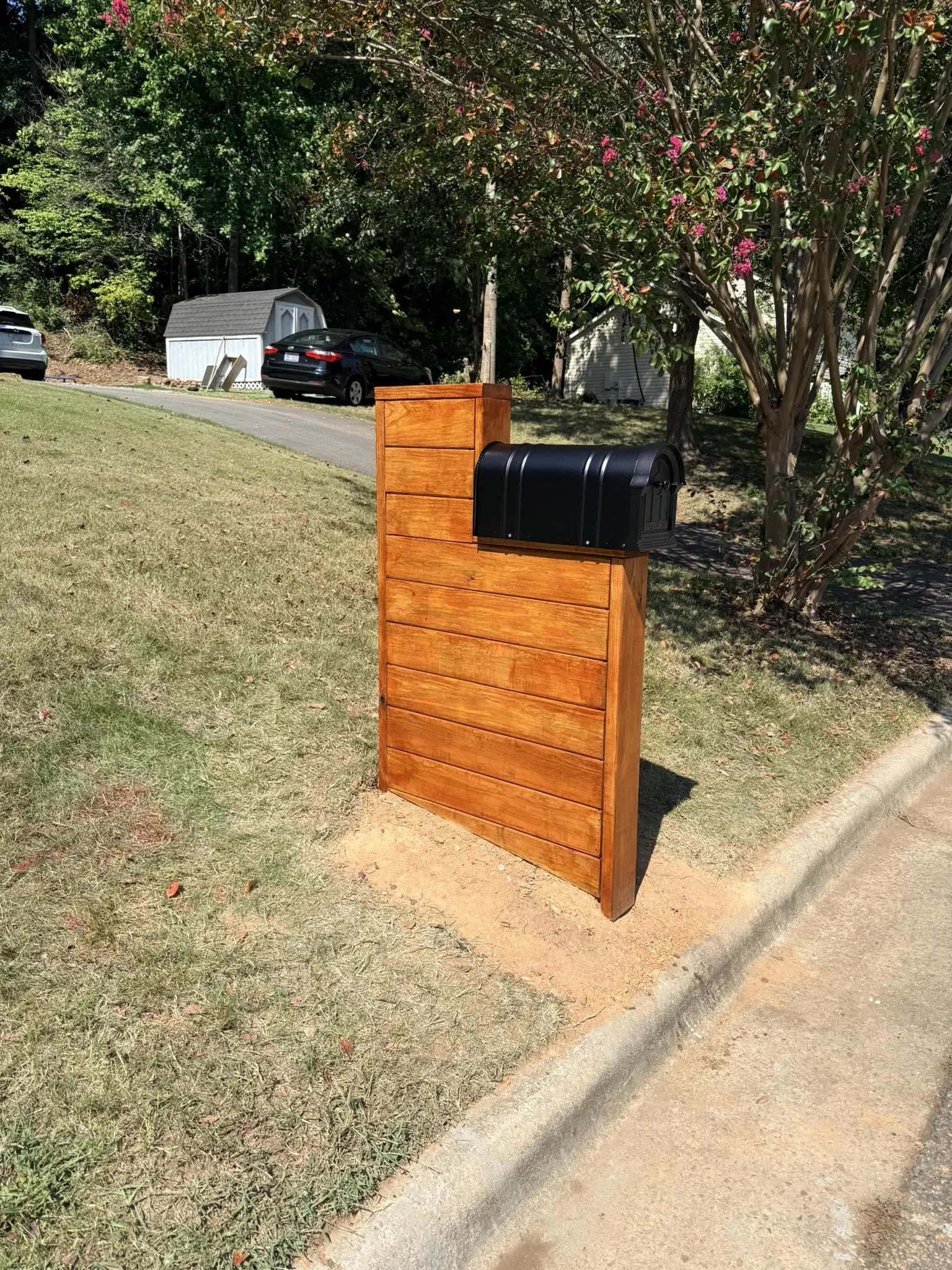 A black mailbox on a wooden post near a sidewalk, with a large flowering tree and a small shed in the background on a grassy yard.