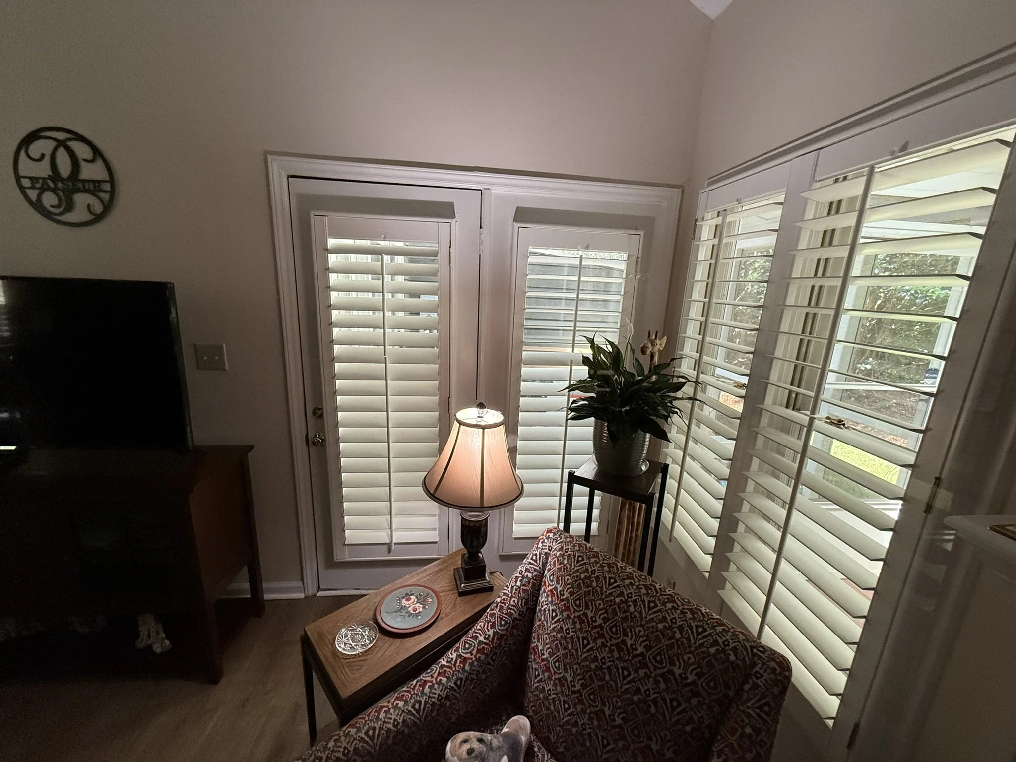 Living room corner with large windows with white shutters, a grey dog on a patterned armchair, a wooden coffee table with decorative plates, a black side table, a potted plant, a lamp, and a wall clock.