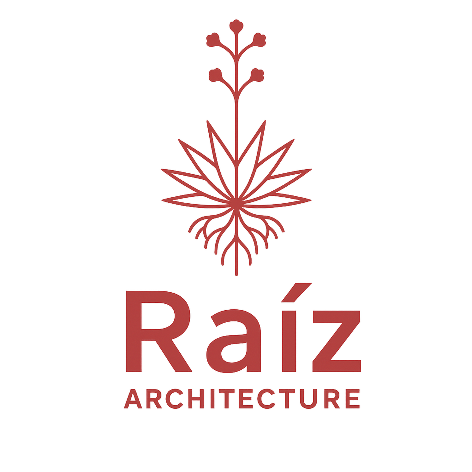 Raiz Architecture
