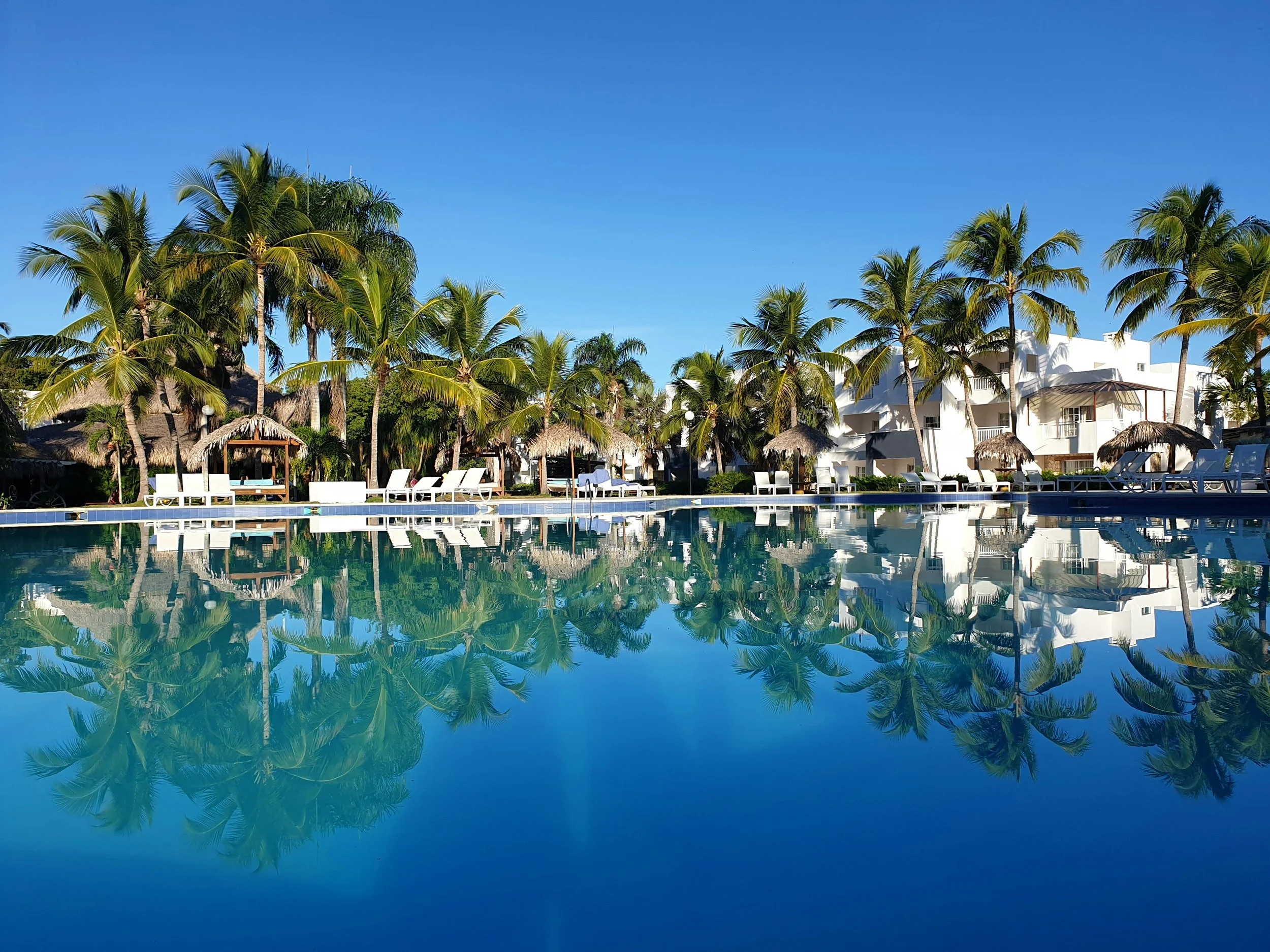 A resort swimming pool area with multiple palm trees, white lounge chairs, and thatched-roof cabanas near white buildings, under a clear blue sky.
