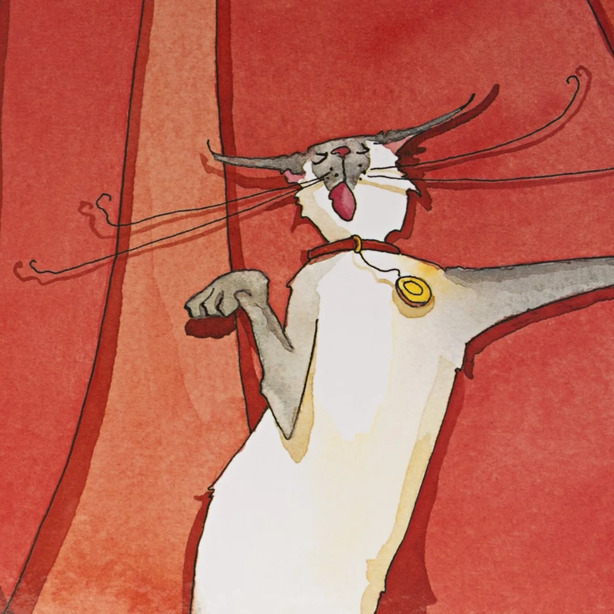 opera cat_sq.jpg