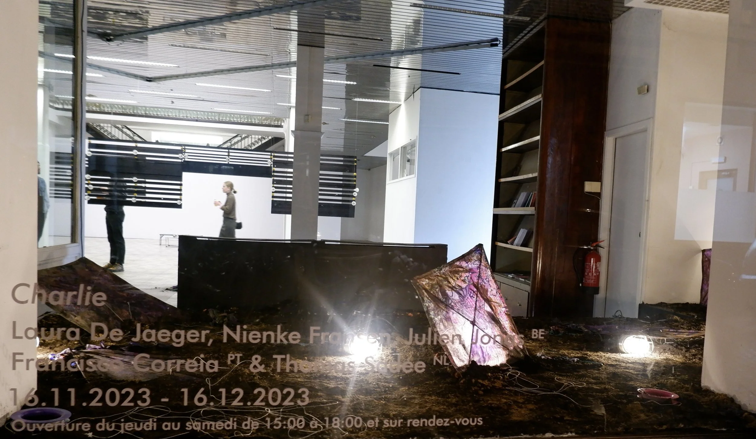 DSCF5980 2.JPG