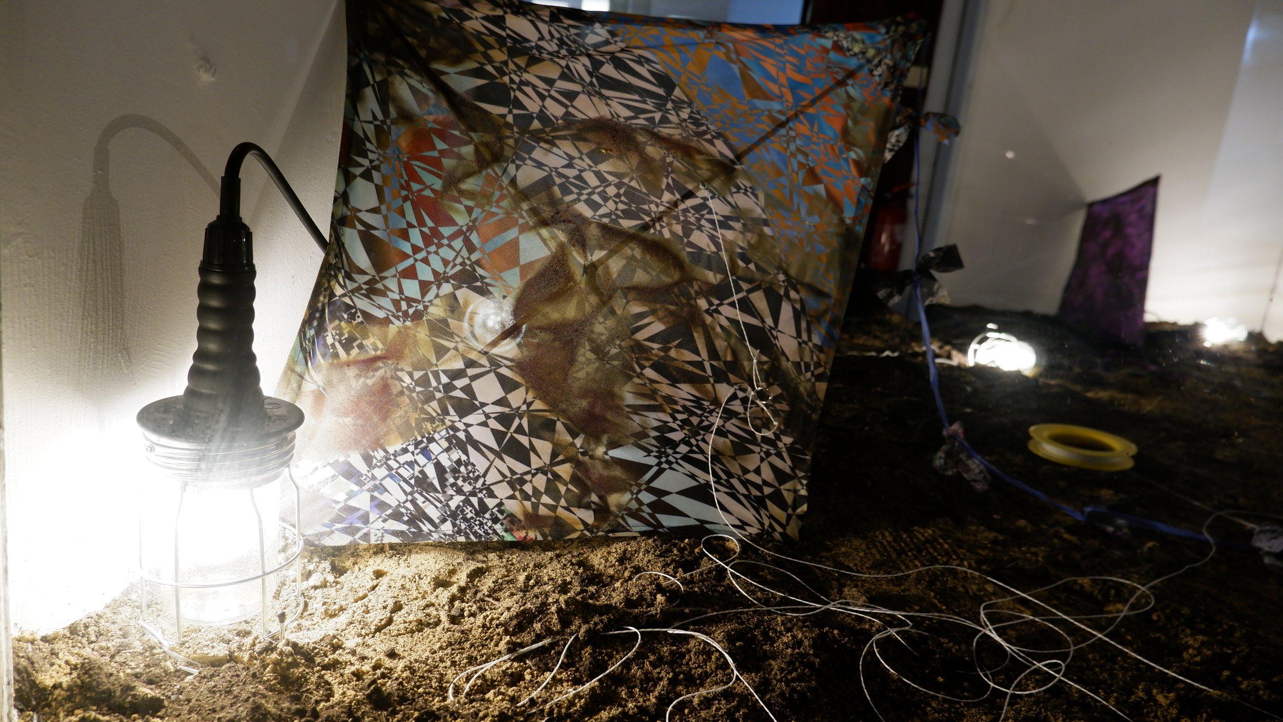 DSCF5985 2.JPG