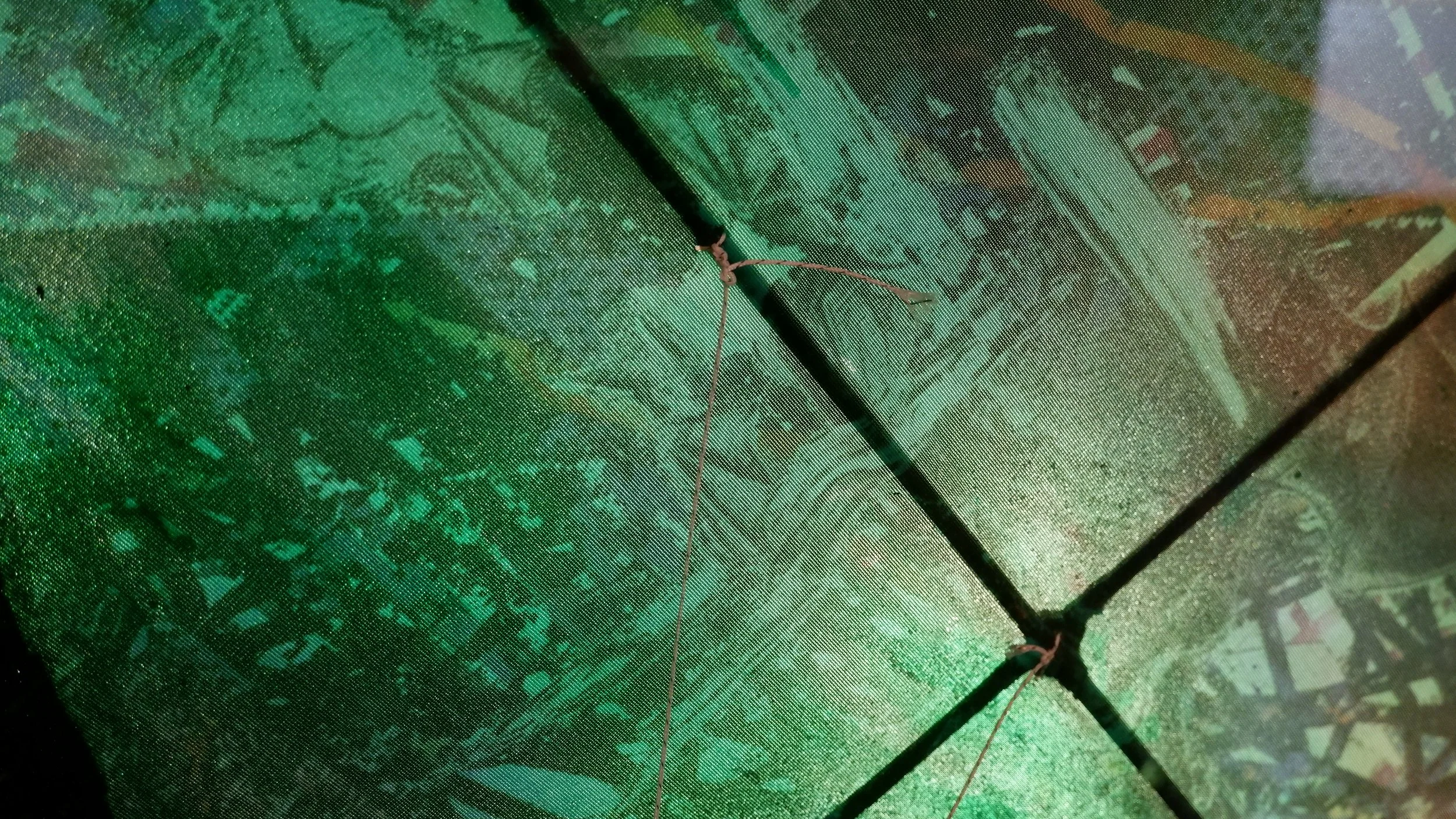 DSCF5943.JPG