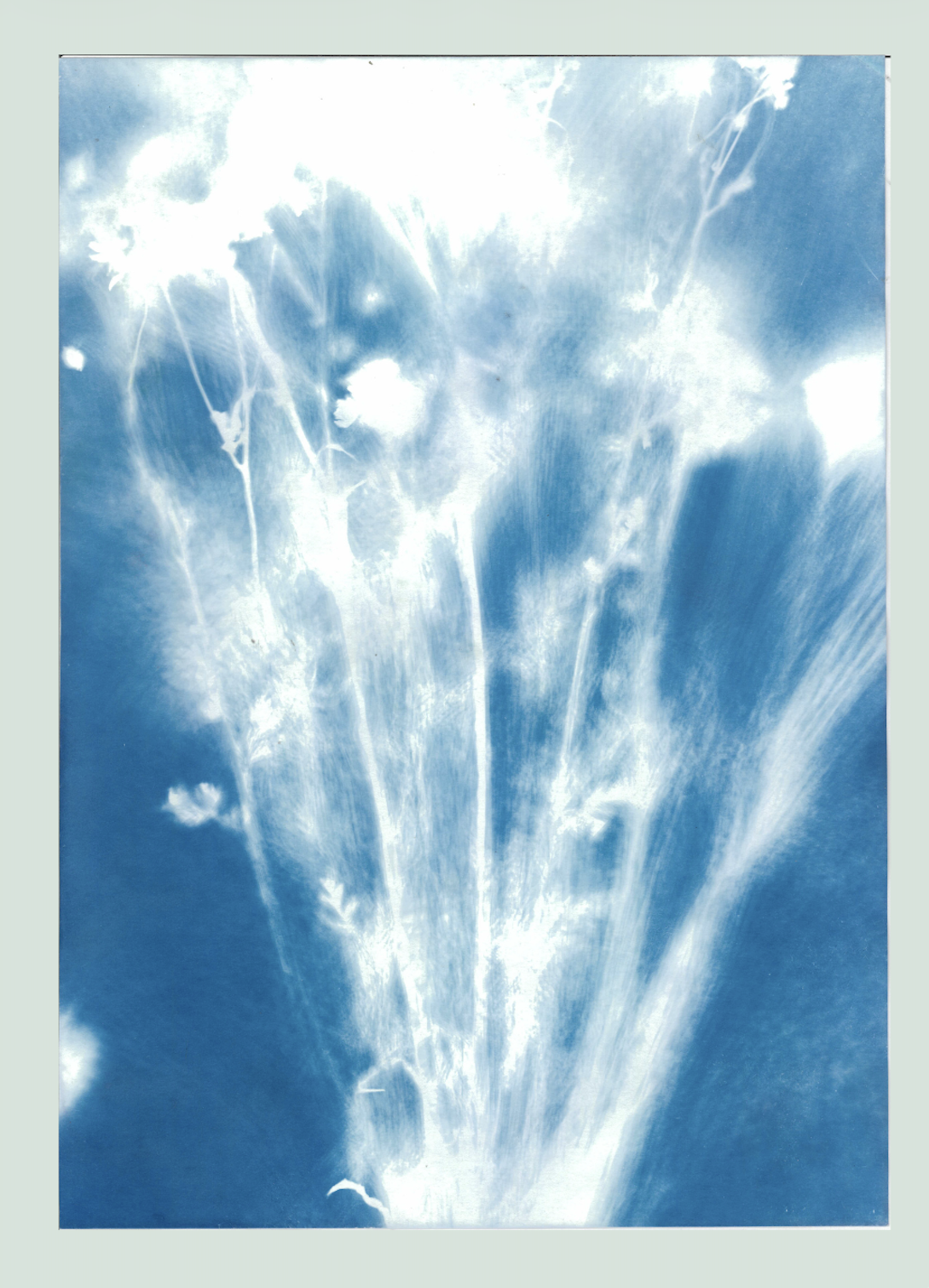 Screenshot 2026-10-05 at 2.48.18 PM.png