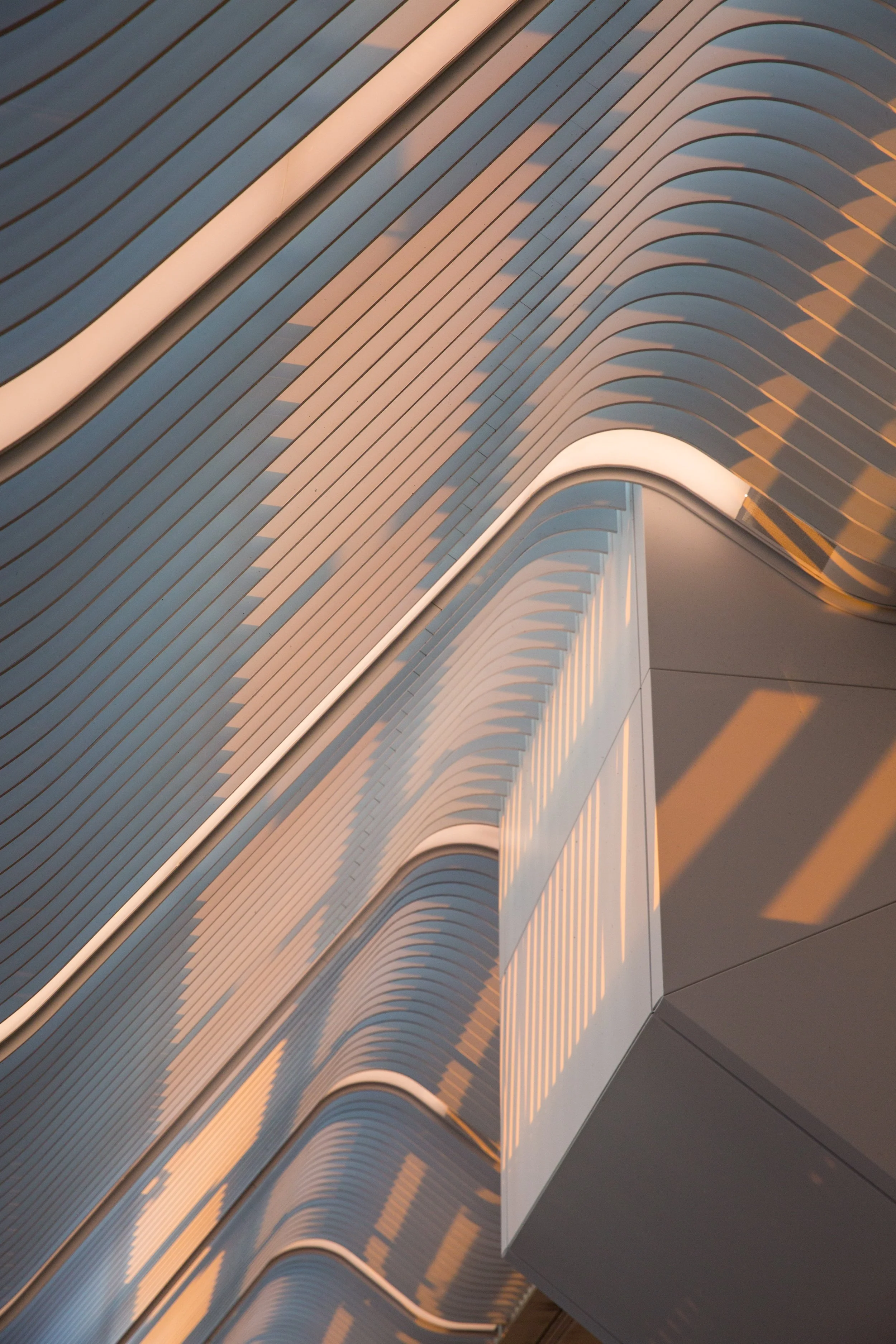 Modern architectural ceiling with curved metal beams and warm lighting creating a futuristic look.