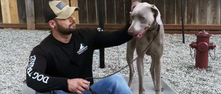 Dog Trainer sitting with gray dog on cot in yard at Cosmo K9 Obedience training