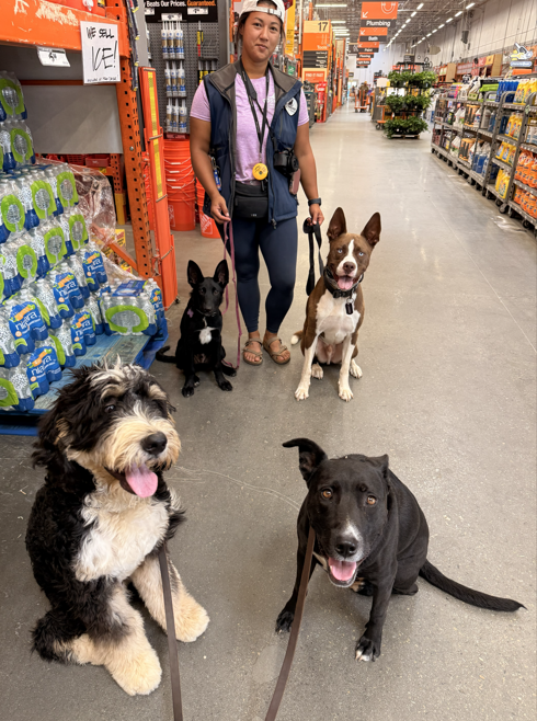 Four dogs with Cosmo K9 Trainer at Home Depot.