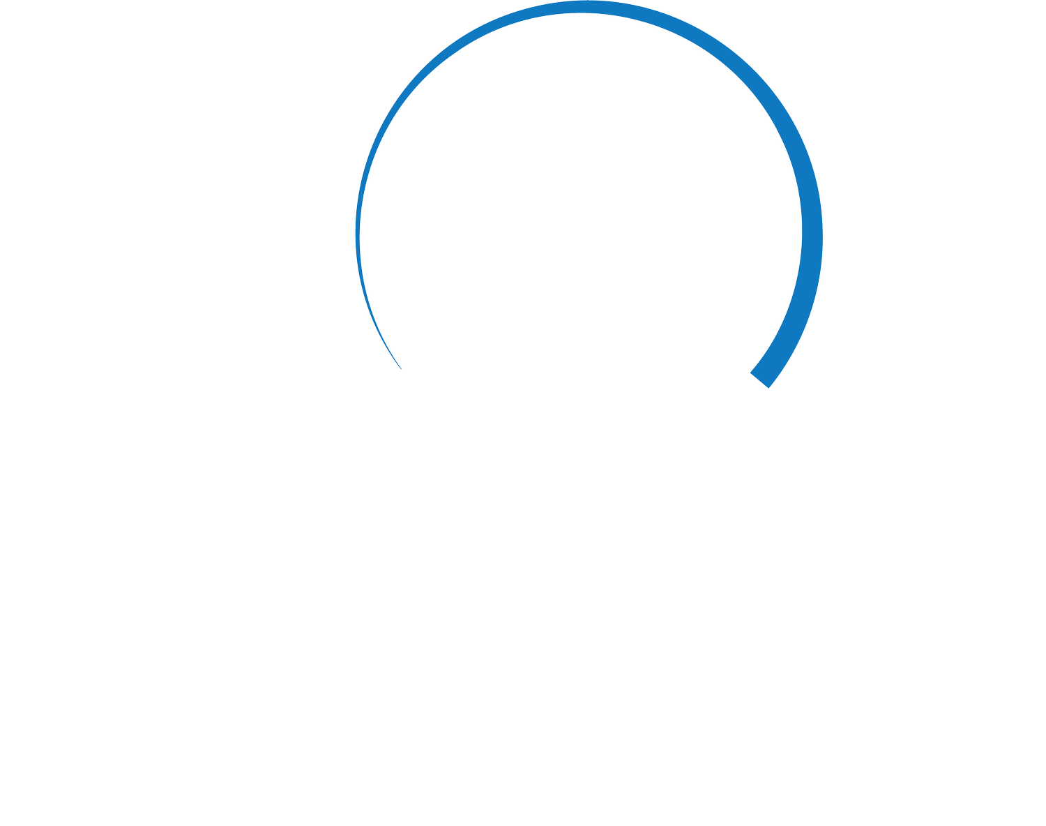Cosmo K9 Obedience