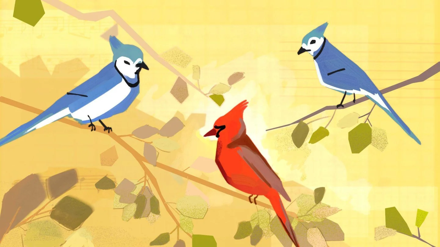 Style Frame 01 · Blue jays and cardinal