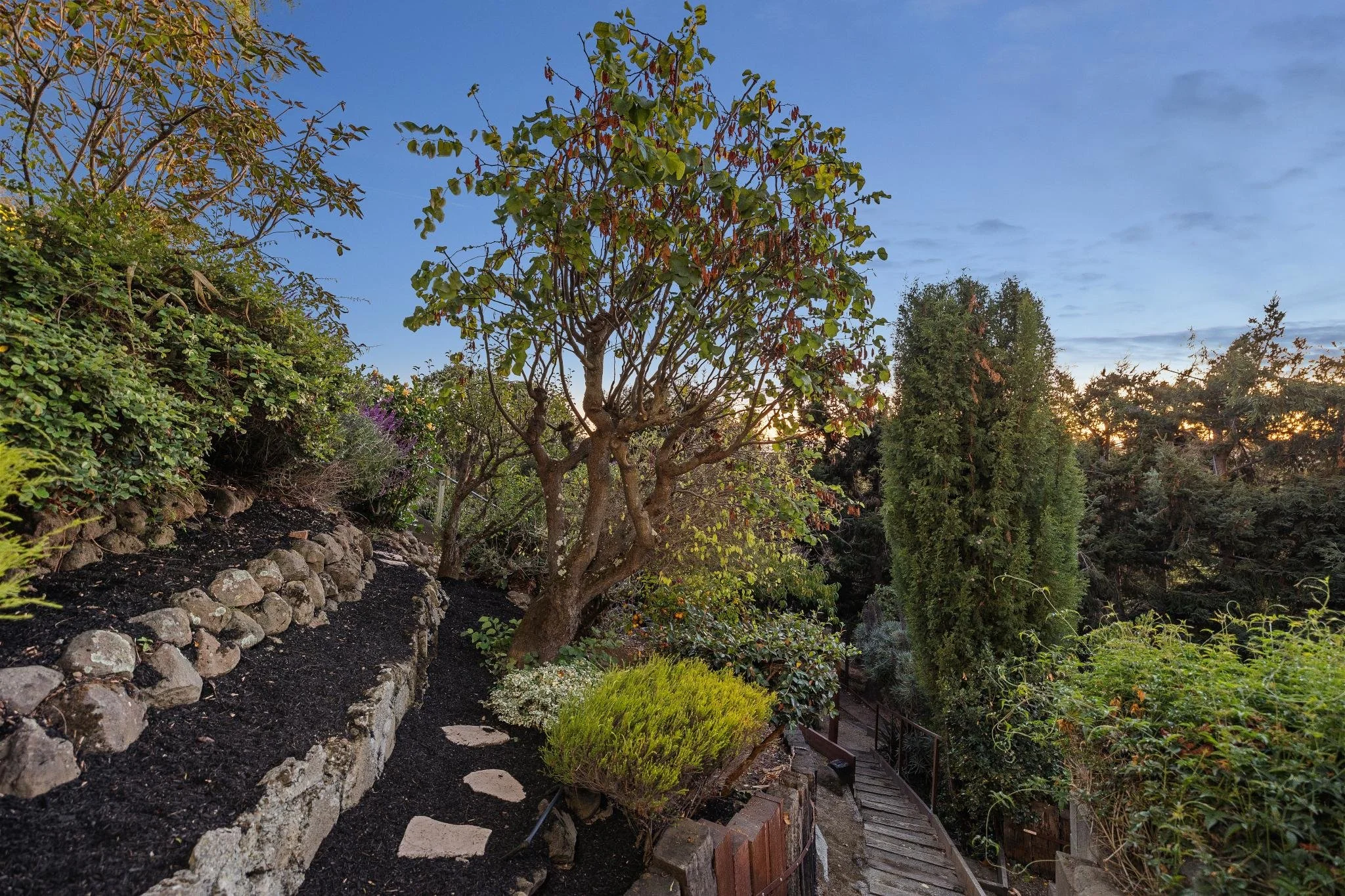 A garden scene during sunset showing a variety of trees, shrubs, and plants along a stone pathway with a wooden railing. The sky is partly cloudy with the sun setting behind the trees.