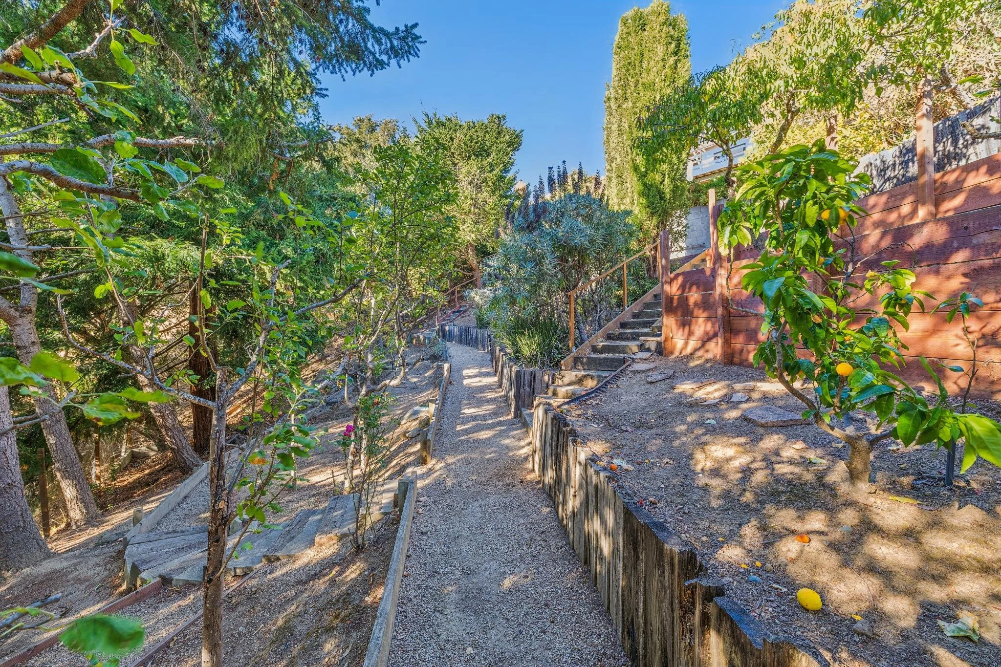 A sunny backyard garden with a dirt pathway, green trees, bushes, and a wooden staircase leading upward. A redwood privacy fence runs along the right side, partially shaded by trees.
