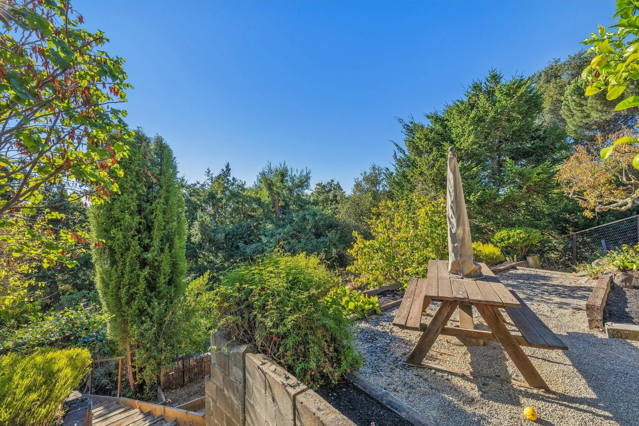 A backyard garden scene with various trees and bushes, a picnic table with an umbrella, and a stone wall with a small wooden deck area.