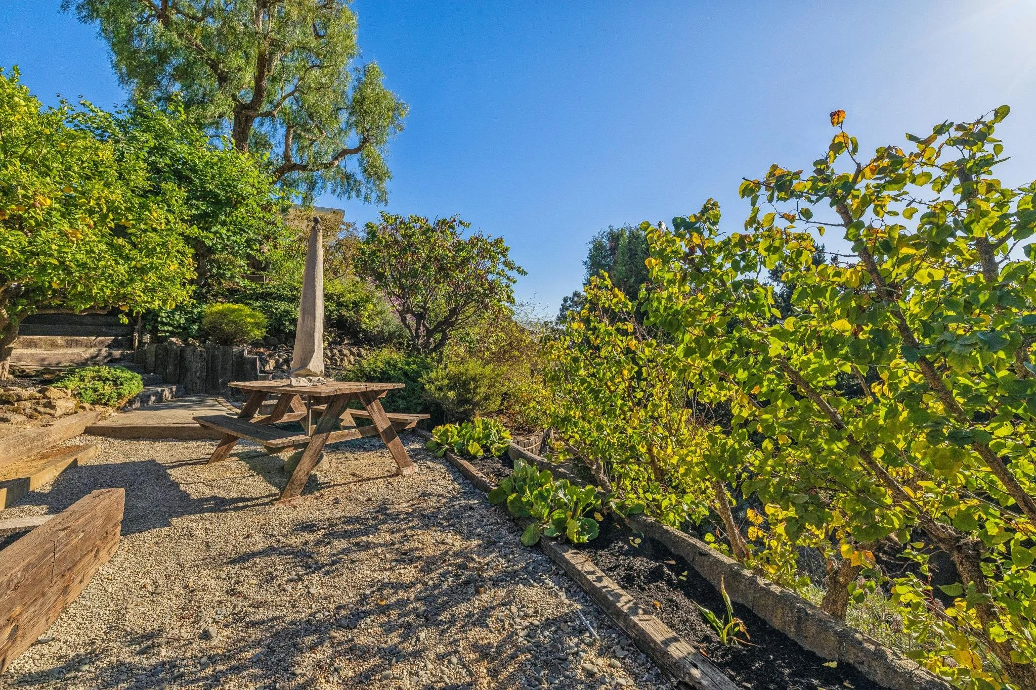 A backyard garden with trees, bushes, a wooden picnic table with an umbrella, and a gravel pathway on a sunny day.