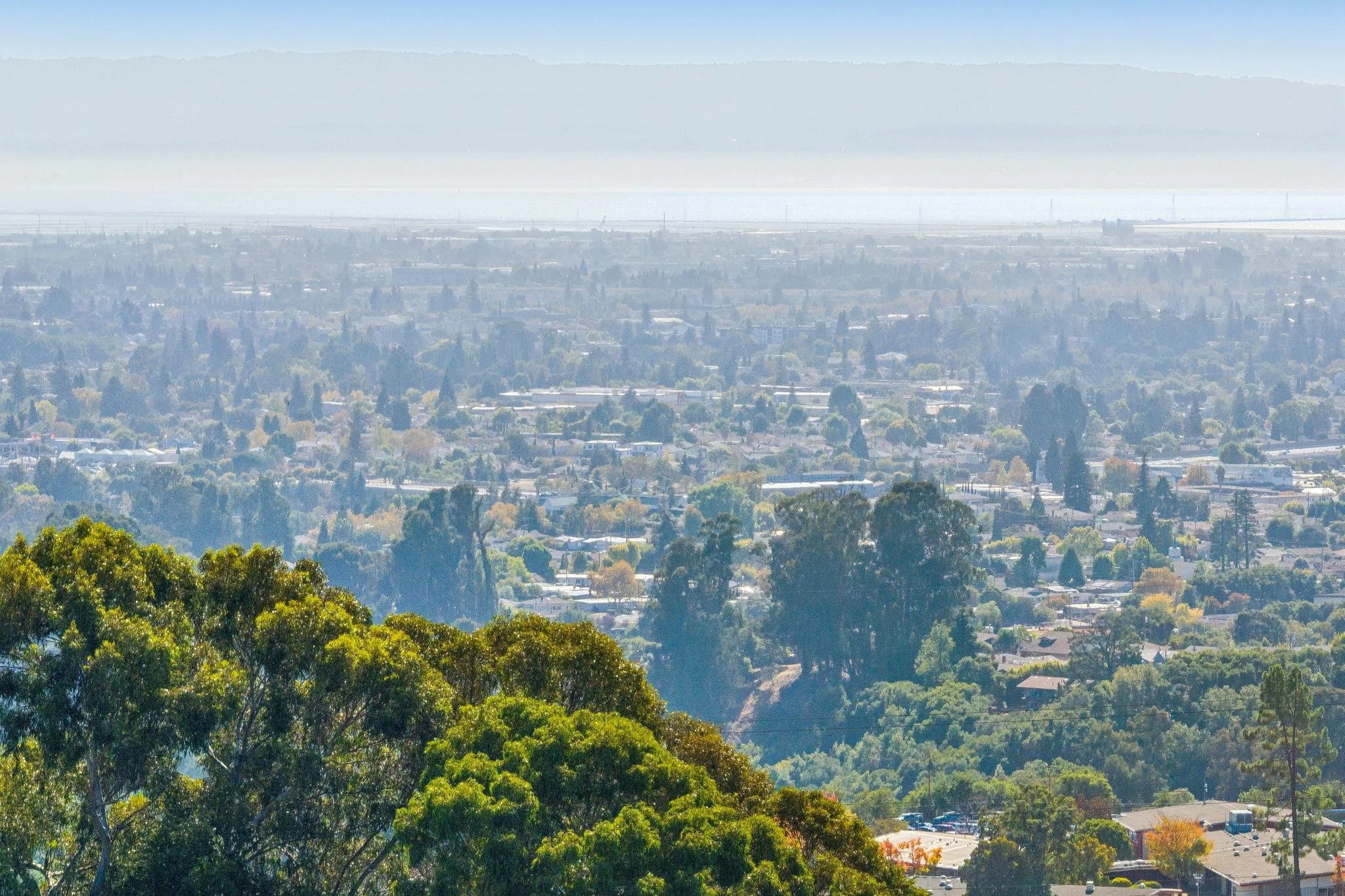 A panoramic view of a cityscape with a vast suburban area, numerous houses, trees, and streets, under a clear sky with a distant mountain range or hills on the horizon.