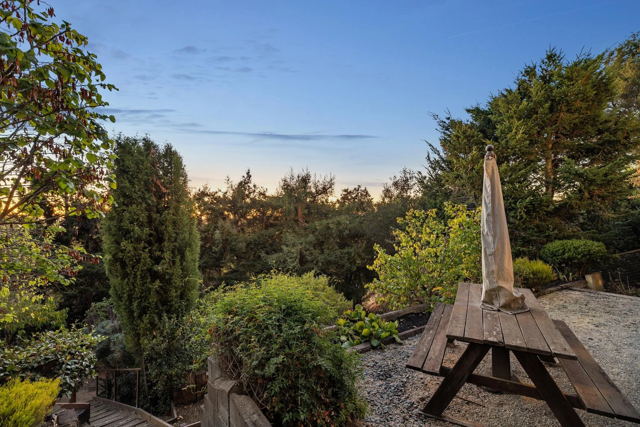 A backyard garden with lush trees and shrubs, a wooden deck with picnic tables and a covered umbrella, and a clear sky at sunset in the background.