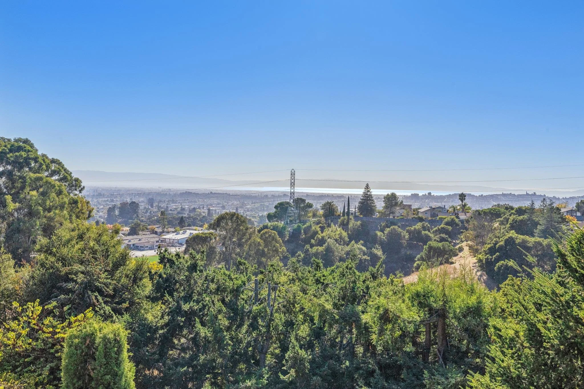 A scenic view of a suburban area with a mix of trees, houses, and a power line, with hills and a large body of water in the distance under a clear blue sky.