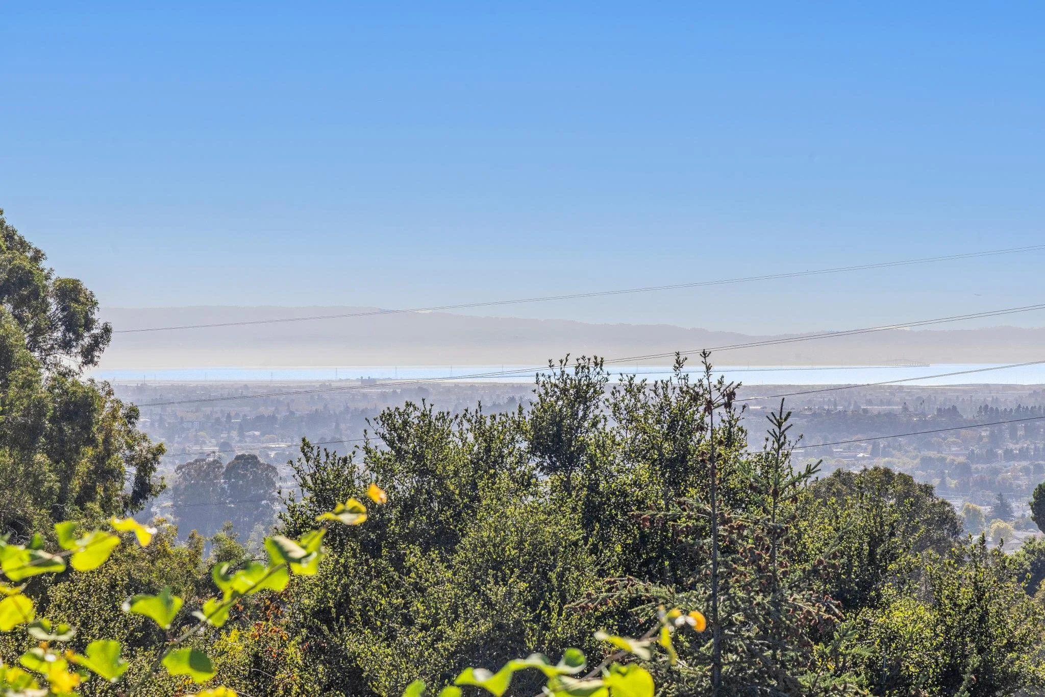 View of a distant lake or ocean under a clear blue sky with mountains in the background and lush green trees and bushes in the foreground.