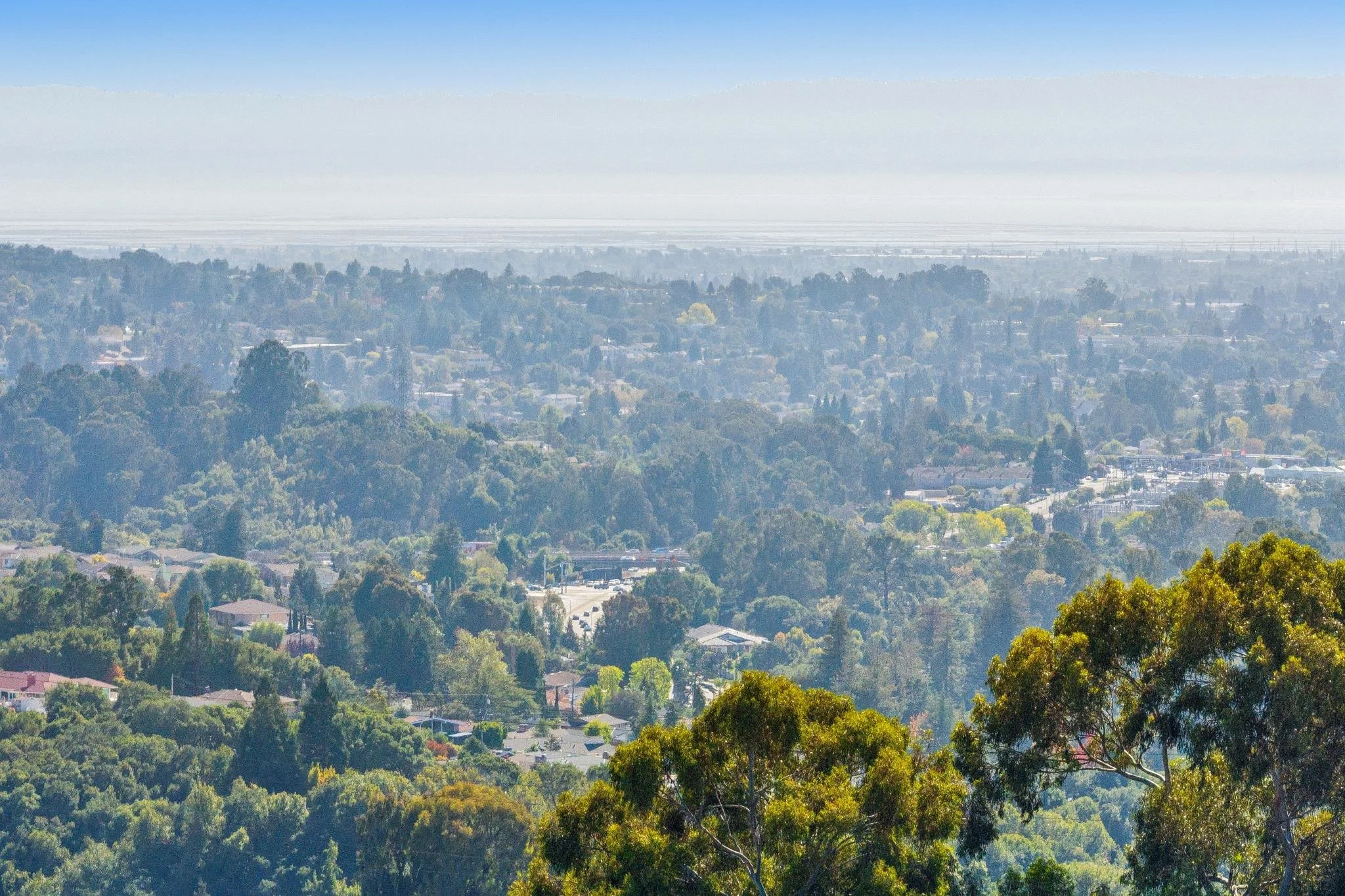 A panoramic view of a hilly cityscape with lush green trees, residential houses, and a distant horizon under a clear blue sky.