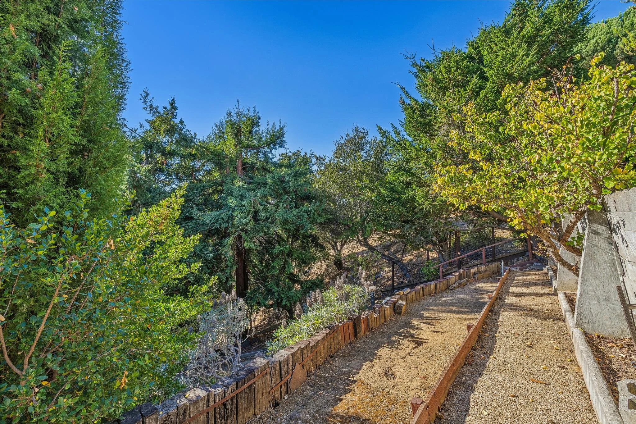 Pathway alongside a stone wall bordered by a wooden edge, with lush green trees and shrubs under a clear blue sky.
