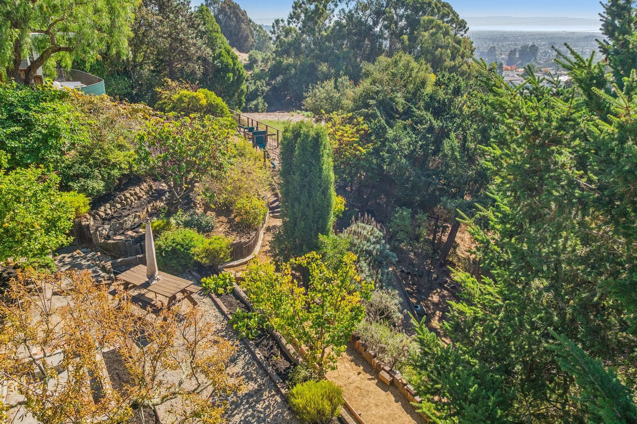 A lush hillside garden with various trees, shrubs, and a small pathway, overlooking a distant city and water body under clear skies.