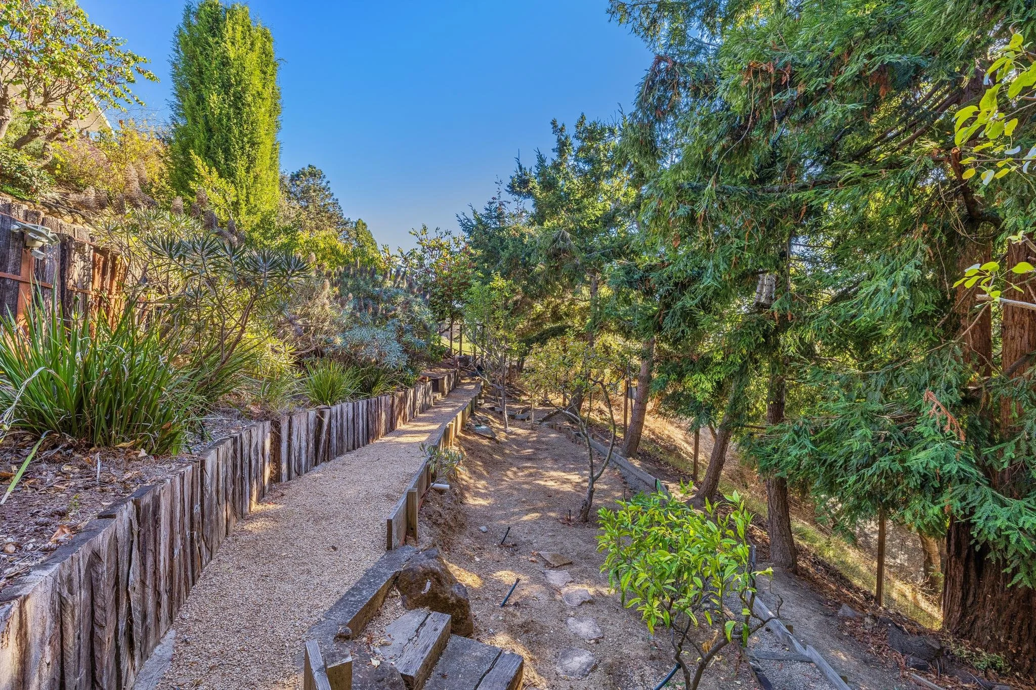 A nature trail with a wooden and gravel path bordered by plants and a wooden fence, surrounded by tall trees and lush green foliage on a sunny day.