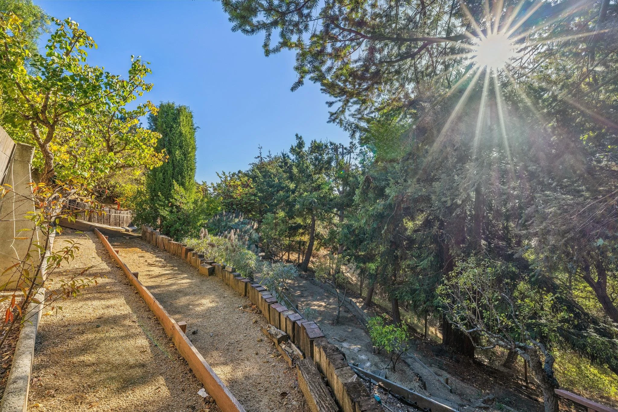 Sunshine shines through trees over a gravel garden pathway bordered by plants and a wooden fence.