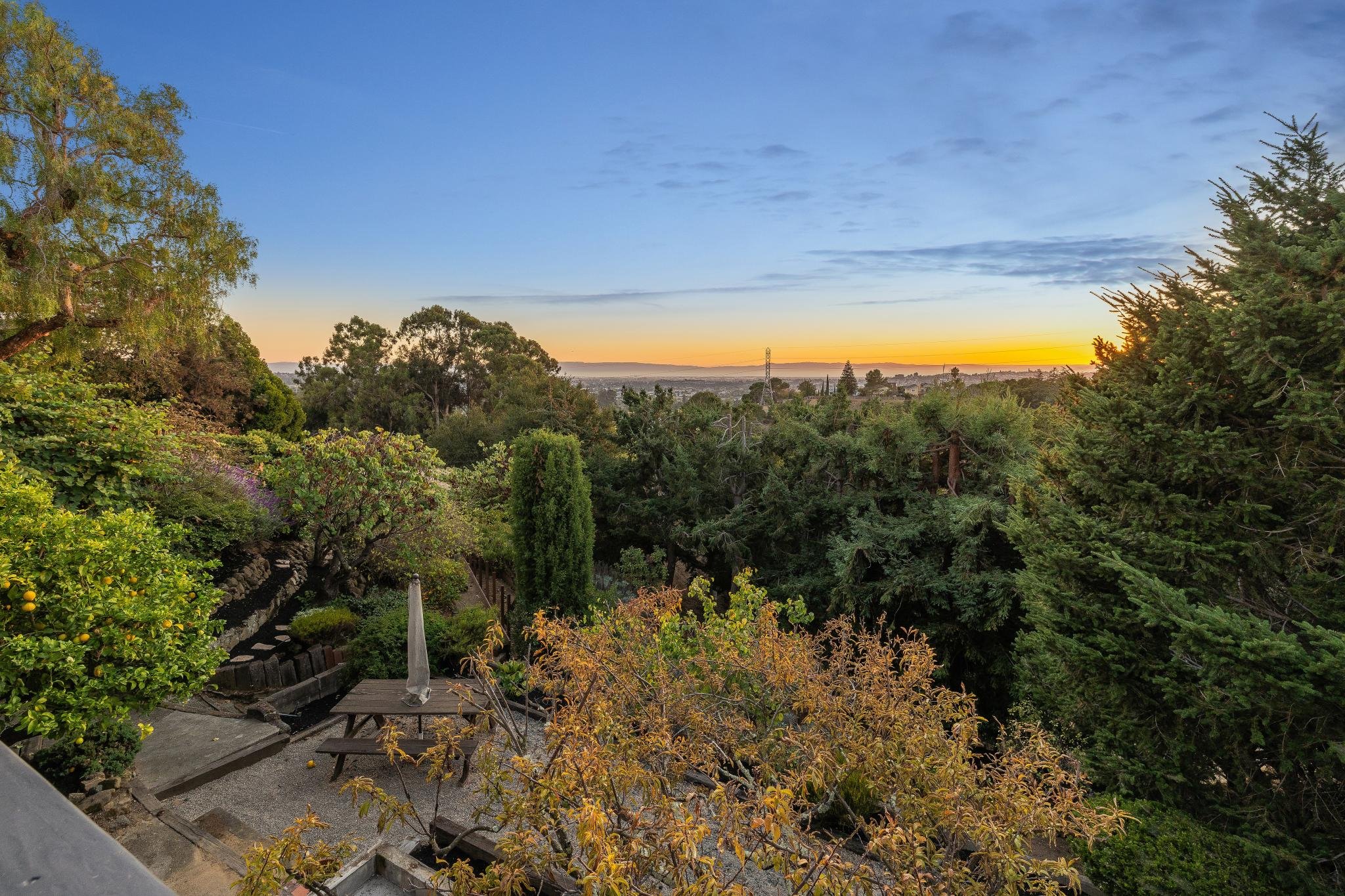 Sunset over a lush garden with trees, bushes, and a small pathway, viewed from an elevated position.