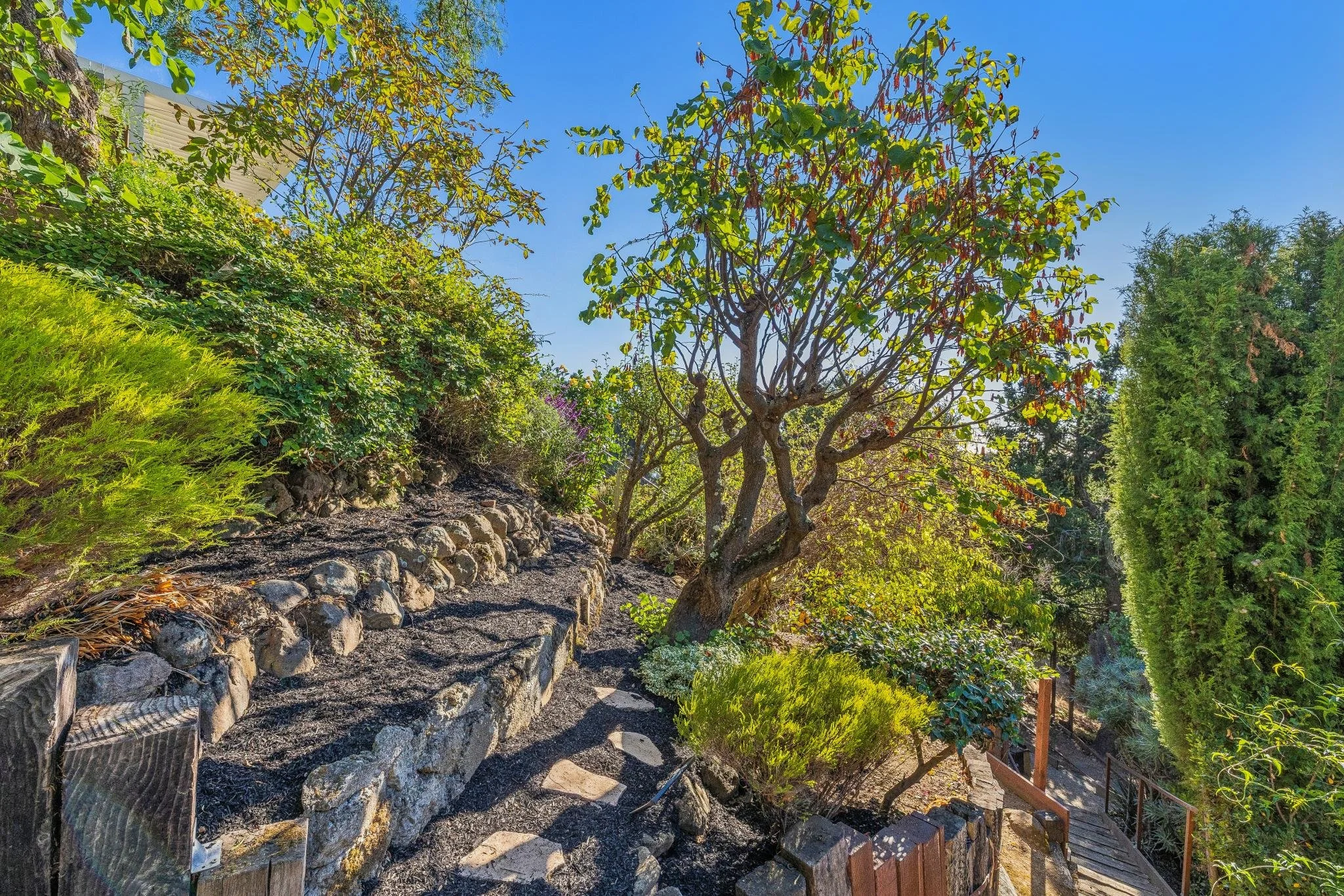 A garden pathway with plants and trees, stone retaining wall, and wooden stairs leading downhill under a clear blue sky.