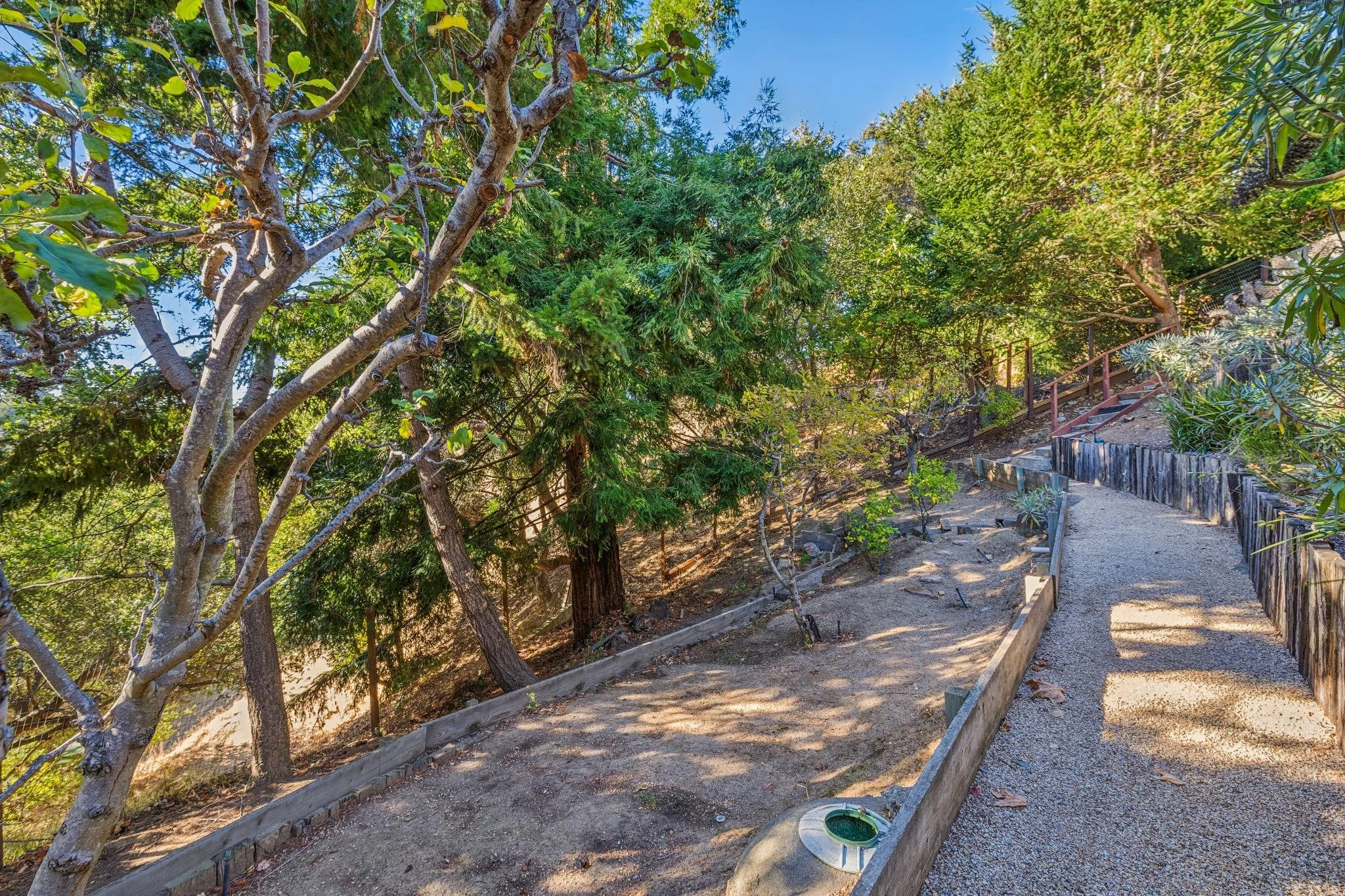 A dirt pathway bordered by a wooden fence with green trees and shrubs on either side, clear blue sky above, and a green hose on the ground.