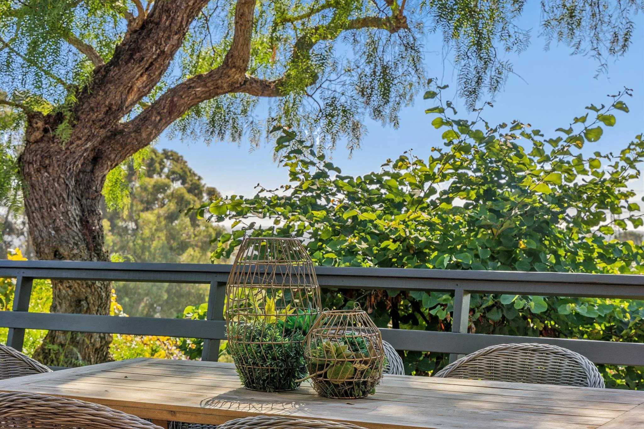 A view of an outdoor terrace with a wooden table and wicker chairs, surrounded by lush green trees and foliage on a clear day.