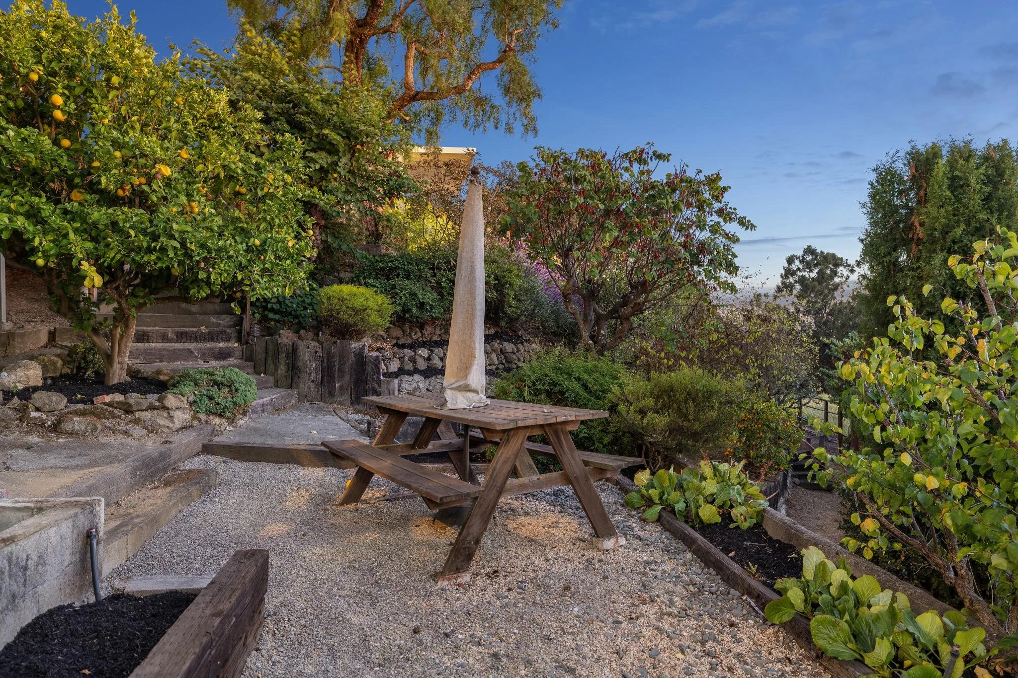 A backyard garden with trees, bushes, and a wooden picnic table. There are steps leading up with plants on either side, and a white patio umbrella is closed on the table. The sky is partly cloudy with early evening light.