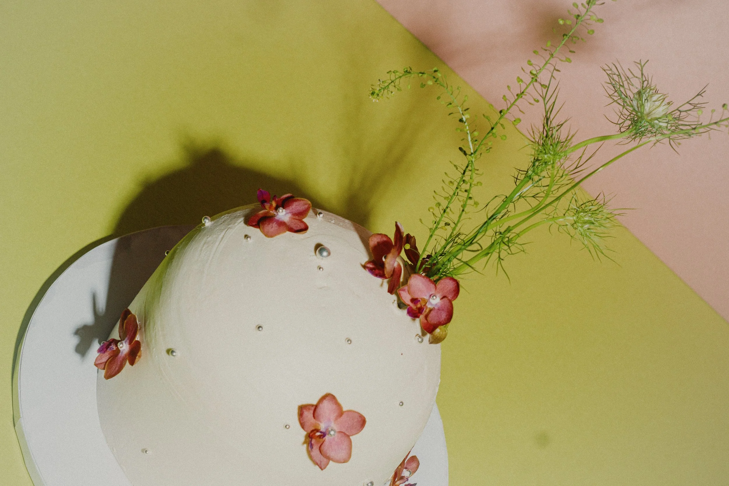 A custom, specialty white cake decorated with pink orchids, silver sprinkles, and green sprigs, set against a two-toned pastel background of green and pink.