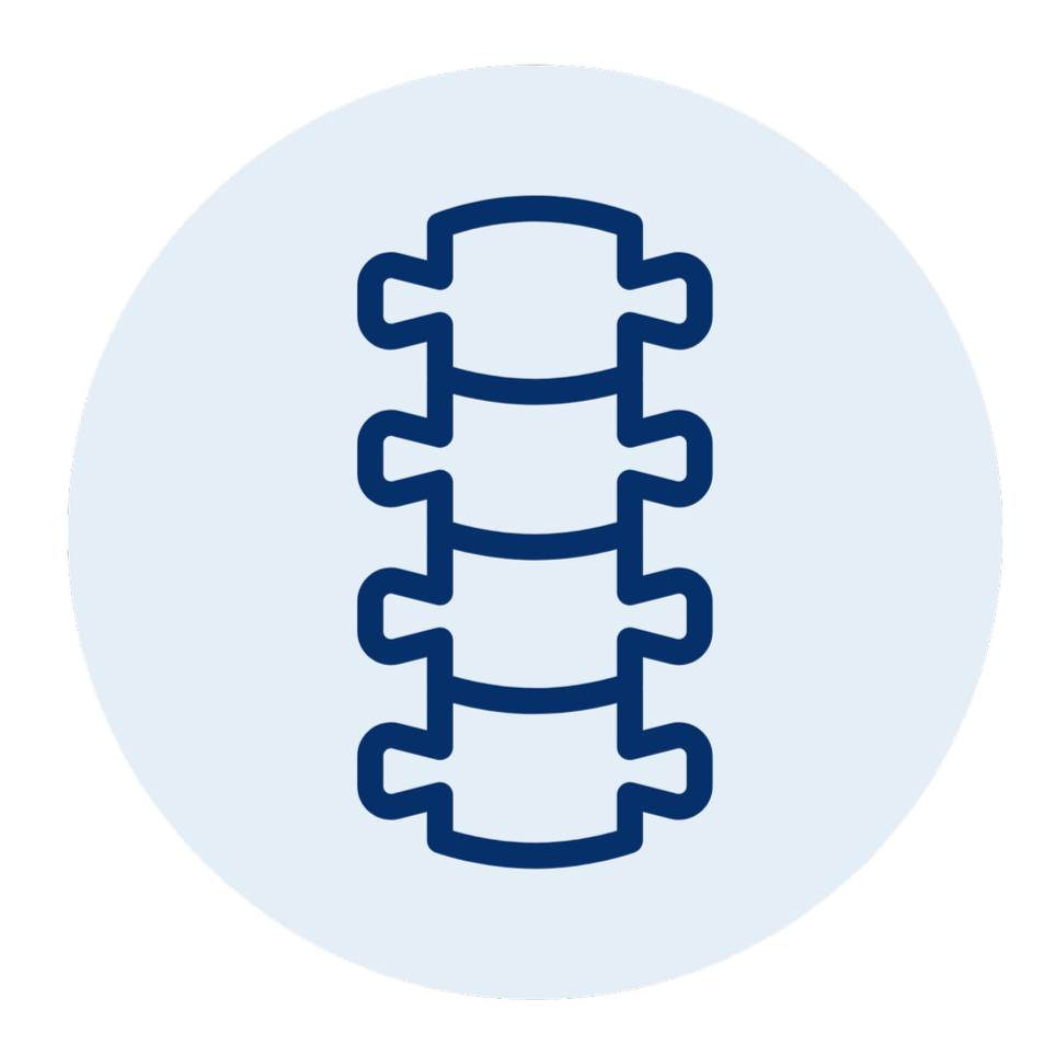 Spine Icon
