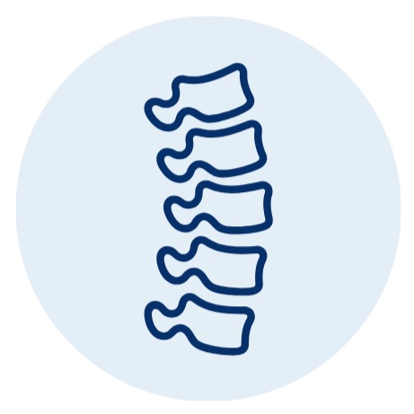 Brain & Spine Icon