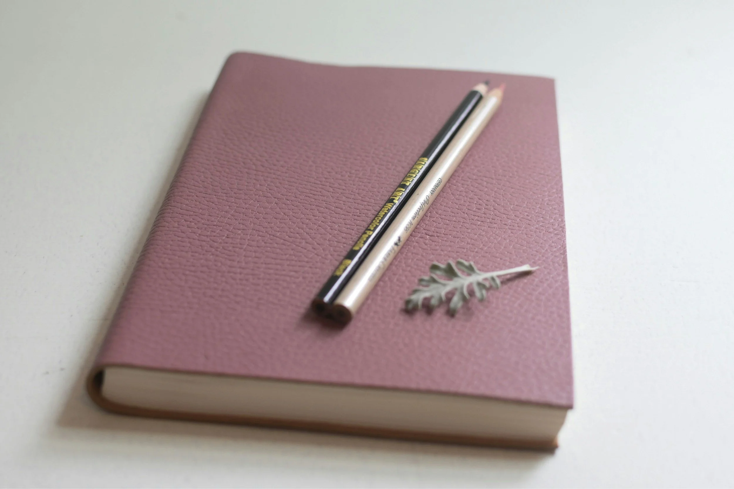 Pink textured notebook with black and cream pencils and a dried leaf on a white surface