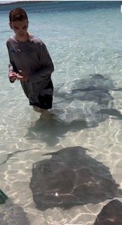 Boy standing in shallow crystal clear turquoise blue ocean water next to sting rays.