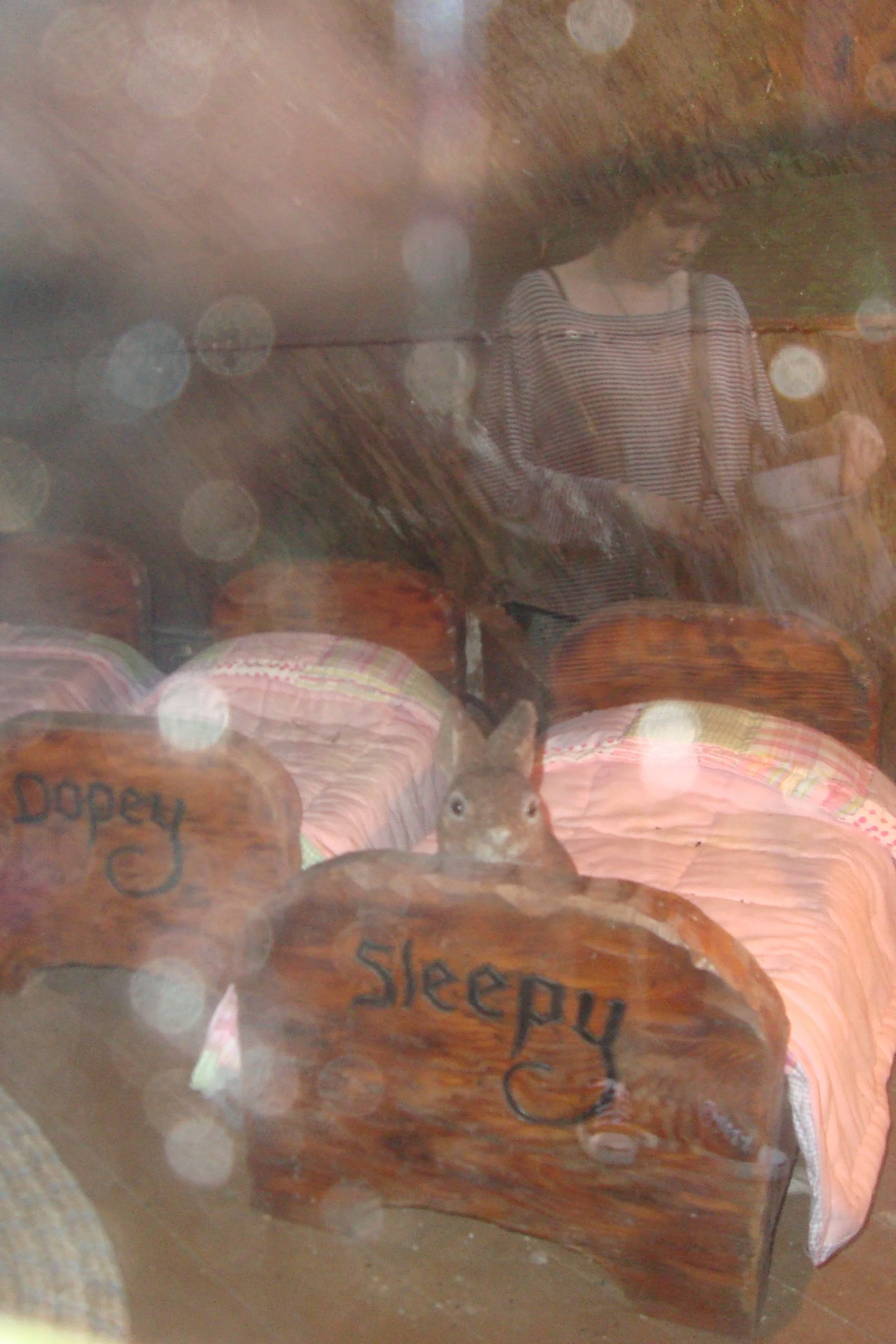 2011, digital photograph