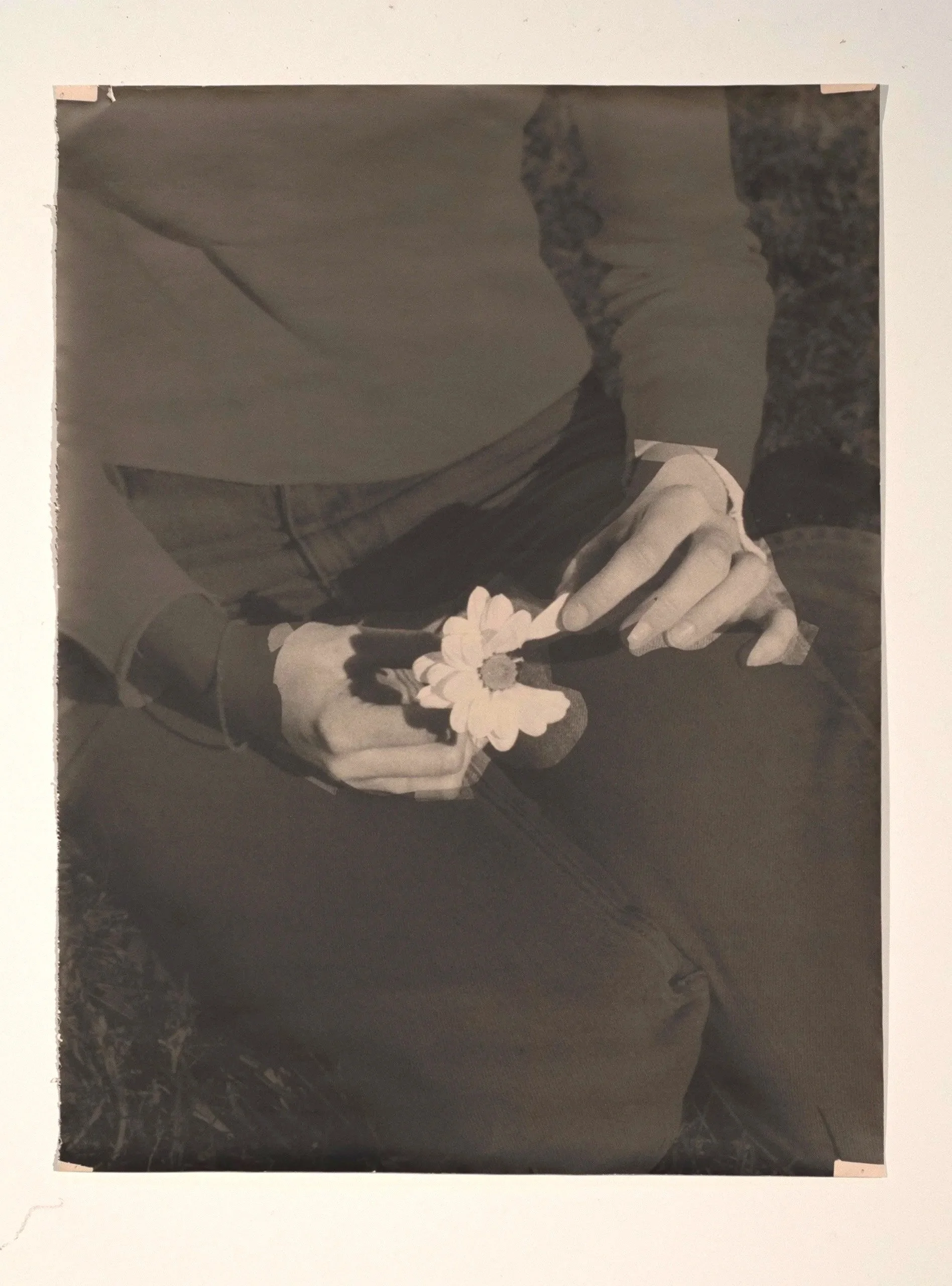 2026, silver gelatin print, 41 x 32 in.