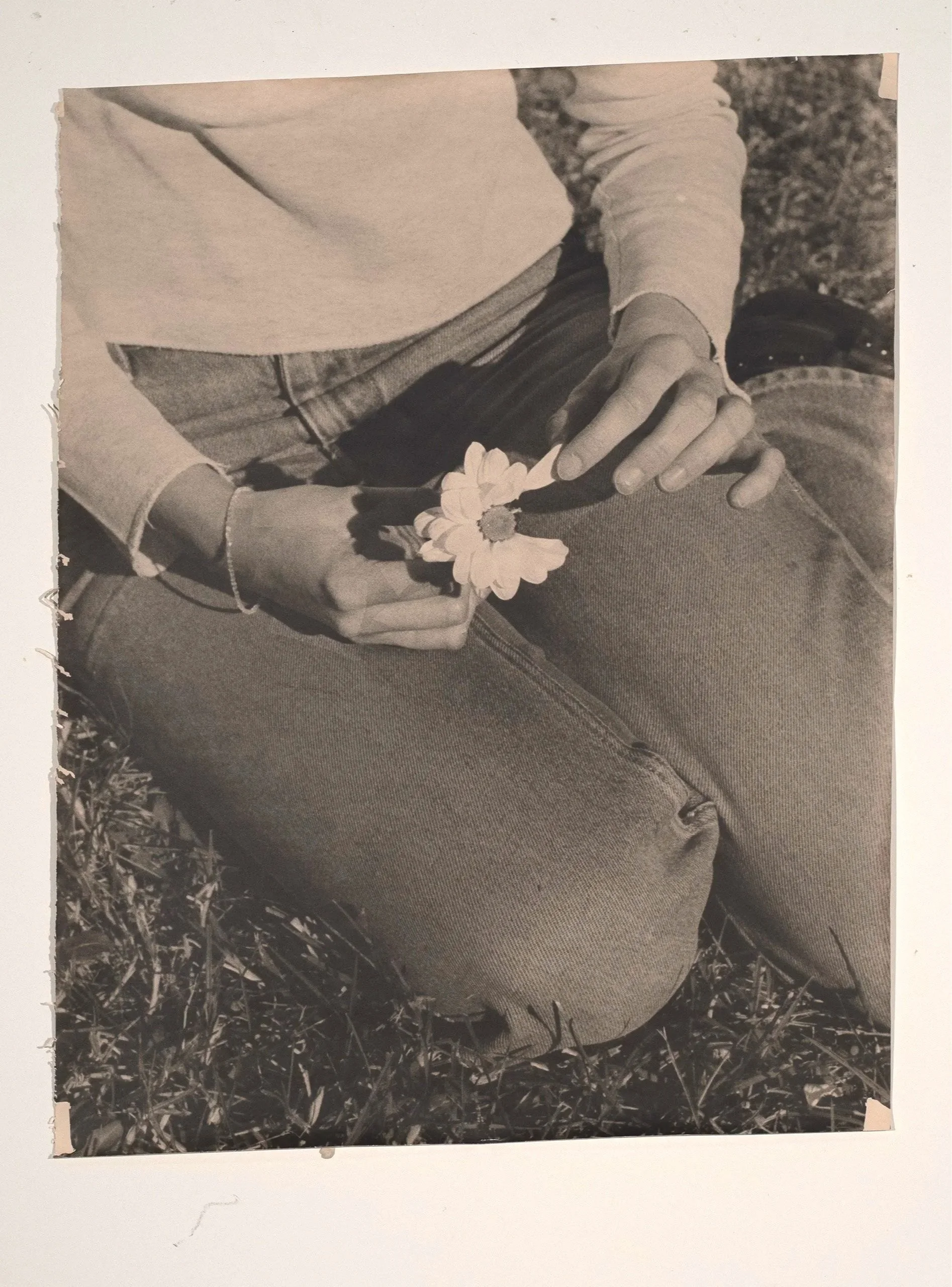 2026, silver gelatin print, 53 x 41 in.