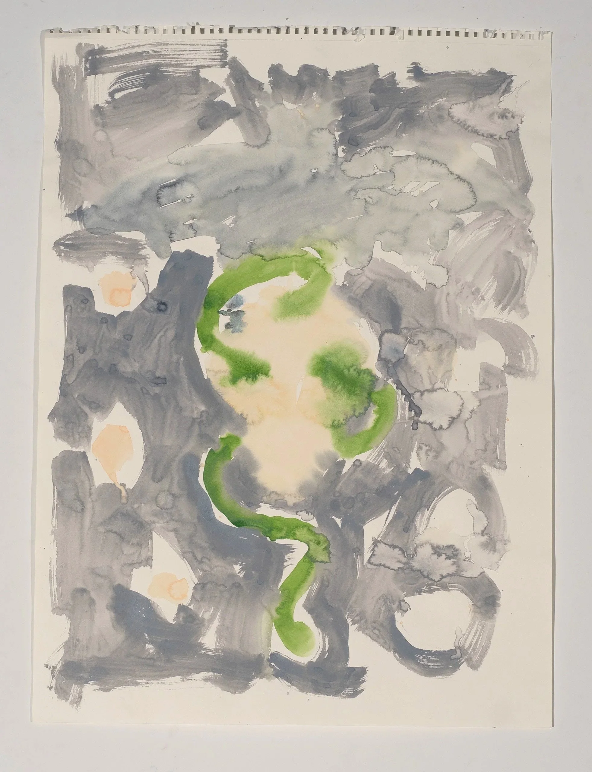 2025, watercolor on paper, 24 x 18 in.