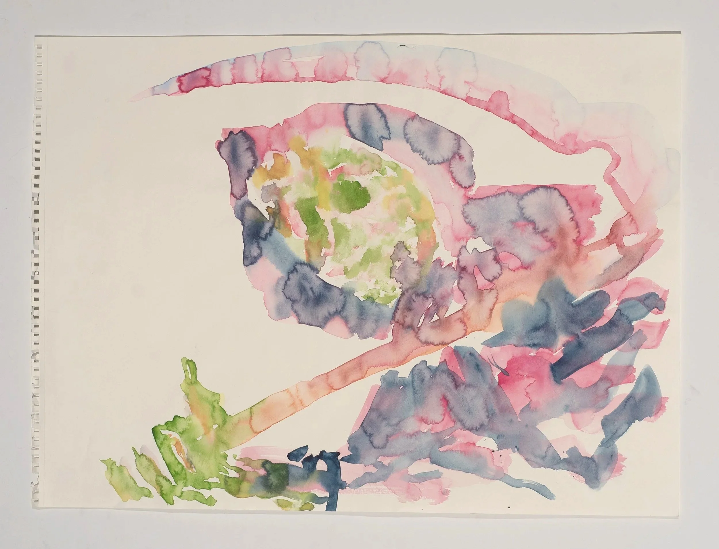 2025, watercolor on paper, 18 x 24 in.